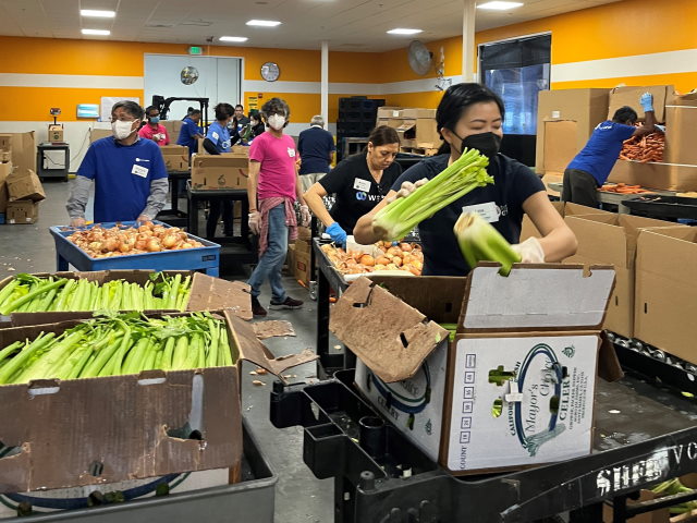 Volunteers moving celery and onions around while surrounded by boxes of vegetables. 