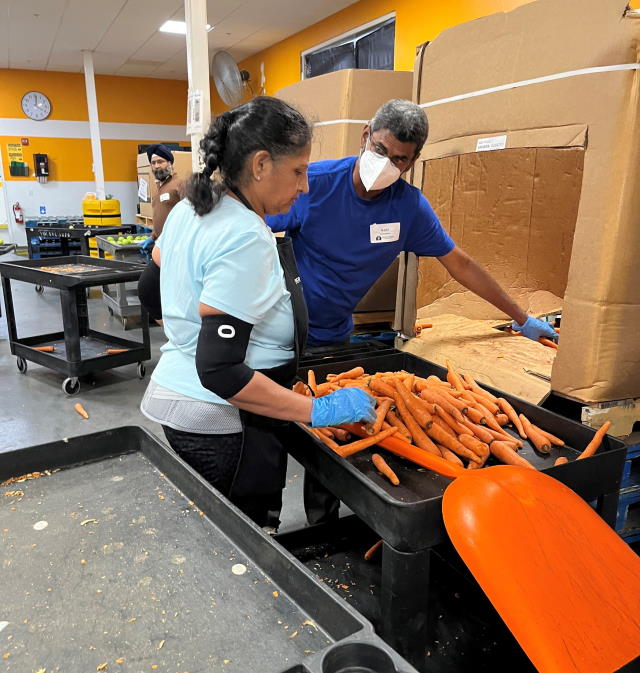 Kal and another volunteer loading  carrots from a box into a large cart at Second Harvest.