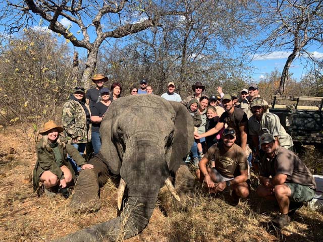 Elephant collaring team with an elephant.