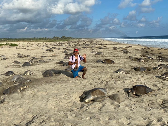 Jair’s first “arribada” where thousands of turtles spawn at the same time. 