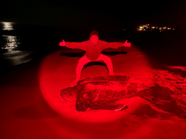 Jair with a very large turtle on a beach at night.