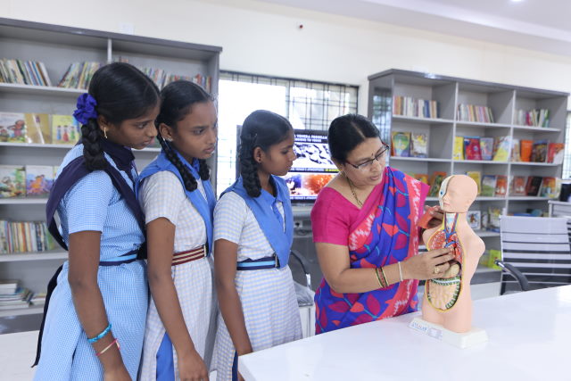 3 female students watch a teacher show them a  human anatomy model.