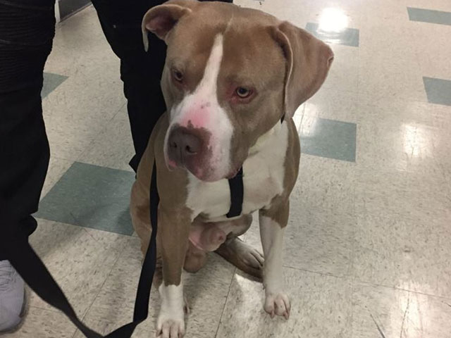 Haze, following his medical check-up